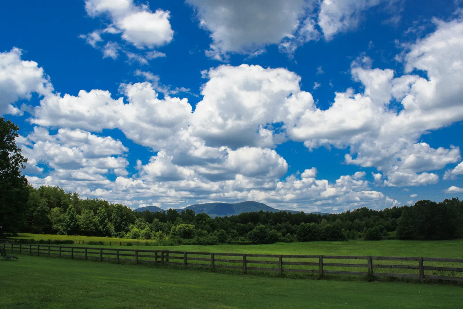 Fenced green pasture with the Blue Ridge foothills on the horizon in northern Greenville County, South Carolina